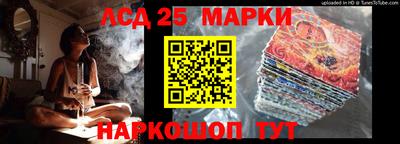 прущие грибы Апшеронск