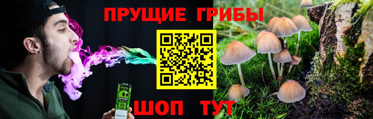 Галлюциногенные грибы MAGIC MUSHROOMS Волоколамск